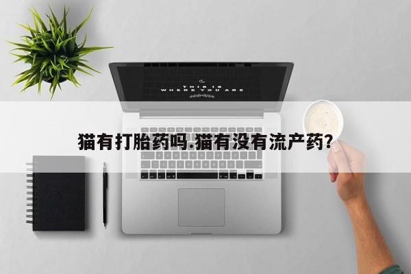 打胎药叫什么名字怎么购买猫有打胎药吗.猫有没有流产药？