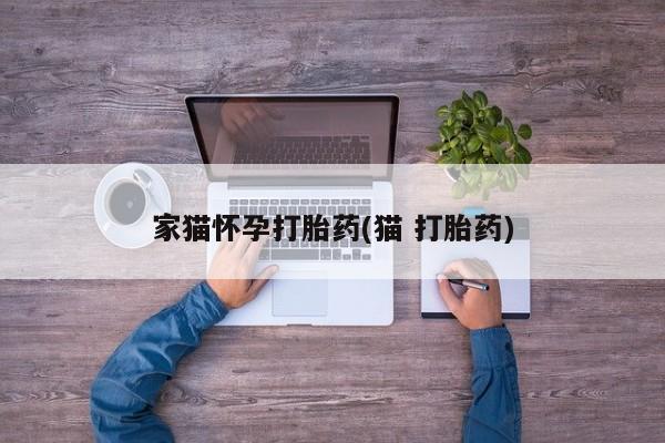 打胎药叫什么名字怎么购买家猫怀孕打胎药(猫 打胎药)